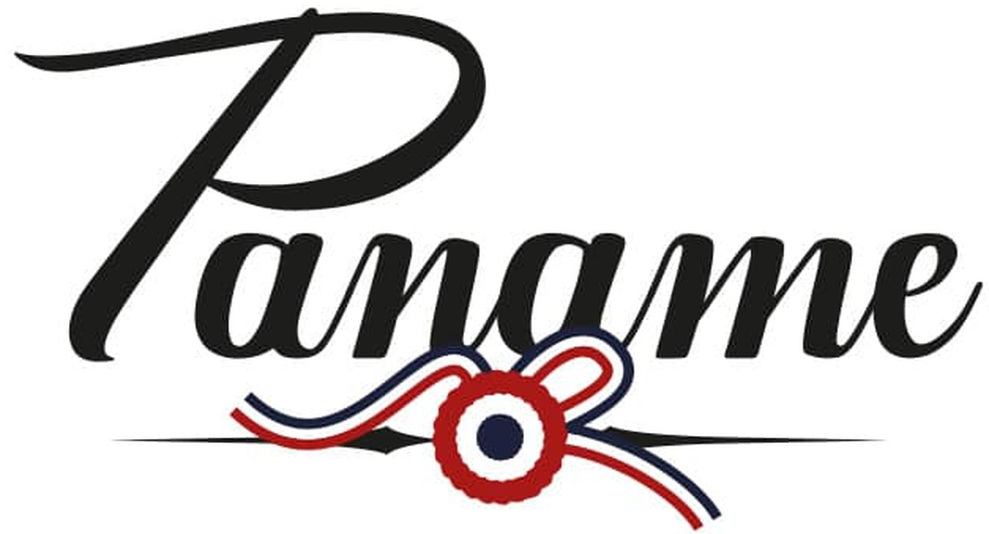 logo paname.jpg